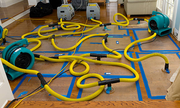 Professional Water Damage Restoration technician working in Pineville, KY